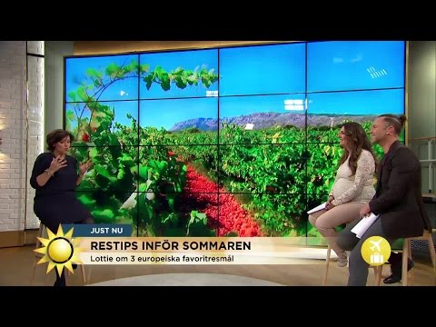 Reseexpertens egna favoritresmål: ”Här är livet perfekt” - Nyhetsmorgon (TV4)