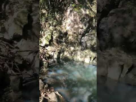 Trekking La Yibuza (parte 25) (Cuchilla de Laureles)