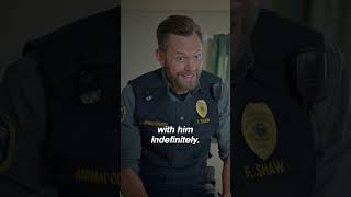 show video image in three sizes