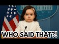 Leavitt Clashes With CNN S Kaitlan Collins Over Tulsi Gabbard Trump Funny Baby Videos