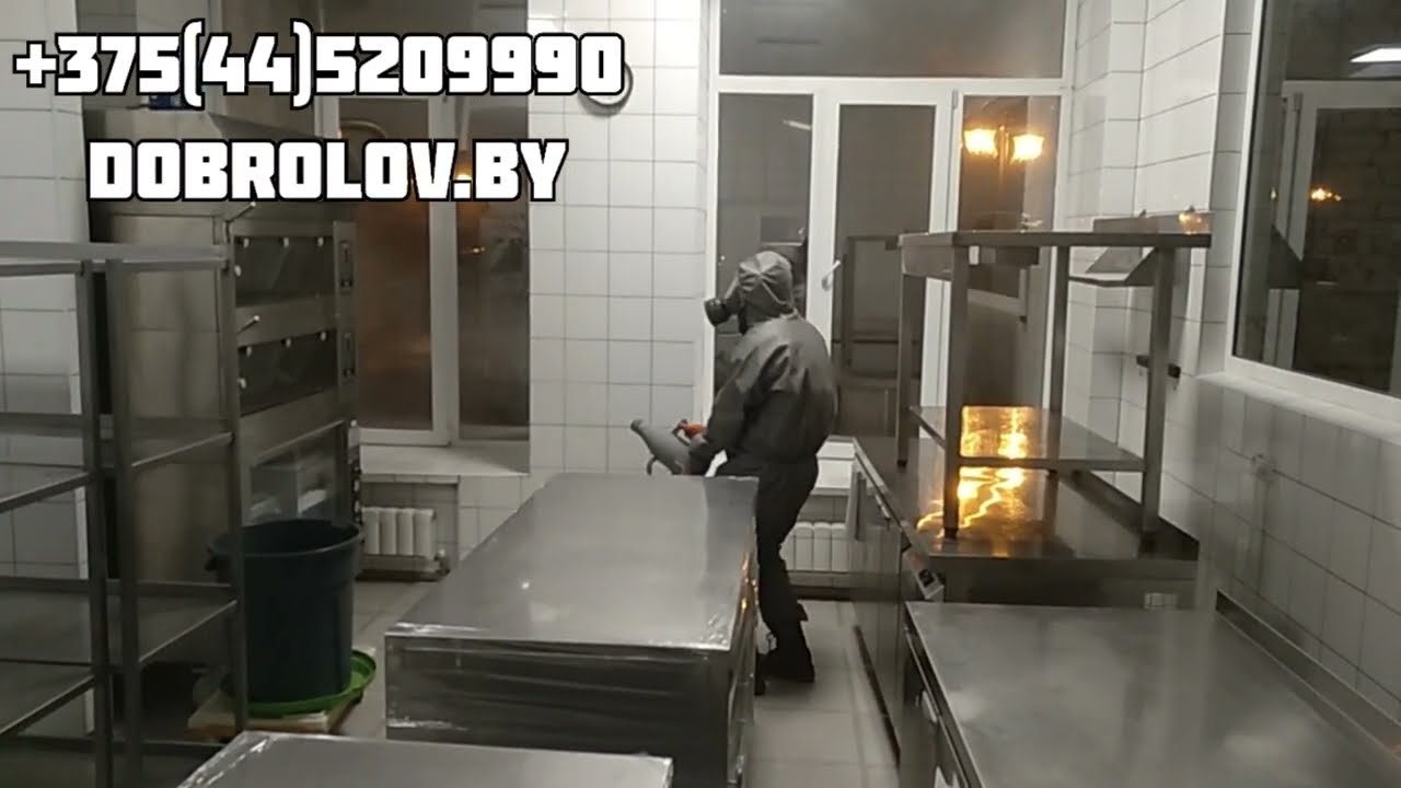 Дезинсекция тараканов в кафе, ресторанах, барах, столовых Минска, Бреста, Гродно, Гомеля, Витебска!