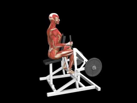 Seated Row - Narrow Grip (Lever)