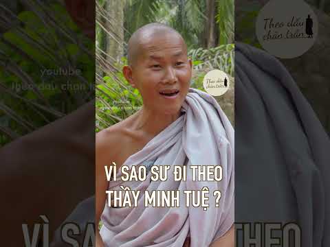 Vì Sao Sư Theo Thầy Minh Tuệ? | Theo Dấu Chân Trần 2