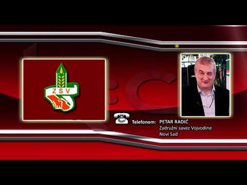 FONO: Petar Radić - Sajam etno hrane i pića