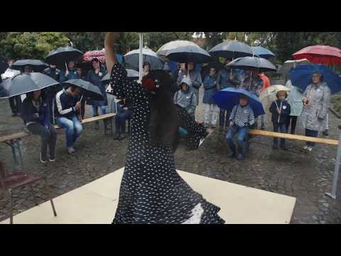 STIL.de rondwandeling Hoge Fronten/Lieke Benders