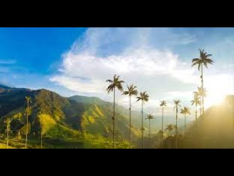 Best Hotels In Salento, Colombia (2023)