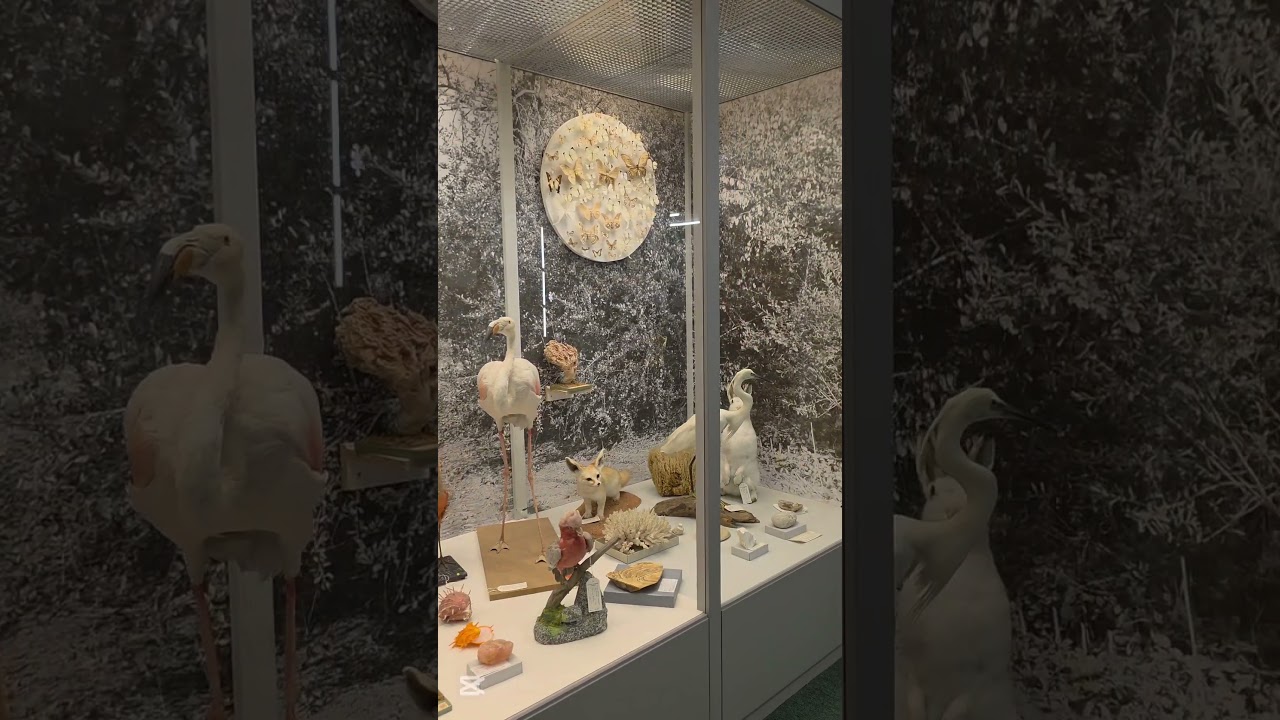 YouTube Short thumbnail