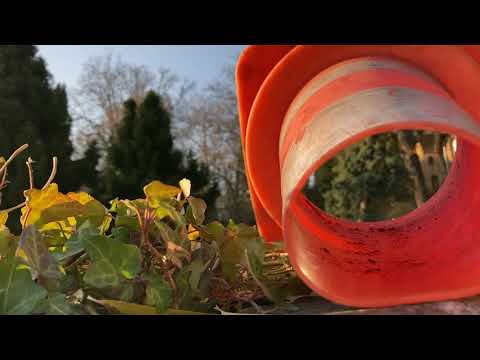 Wilhelm Schmid - Philosophischer Spaziergang: Perspektive