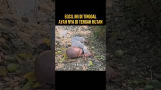 Download lagu BOCIL INI BERTAHAN HIDUP DI TENGAH HUTAN SEORANG DIRI #alurceritaflim #film mp3 Download lagu BOCIL INI BERTAHAN HIDUP DI TENGAH HUTAN SEORANG DIRI #alurceritaflim #film mp3