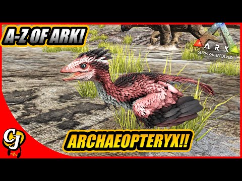A-Z Of Ark! The ARCHAEOPTERYX, The Best Parachute And Sap Collector!! || Ark Survival Evolved!