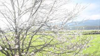 BRIAN ENO & RICK HOLLAND POUR IT OUT