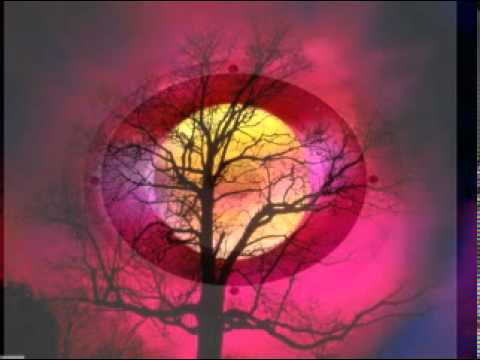 Pendulum Fresh Tarantula