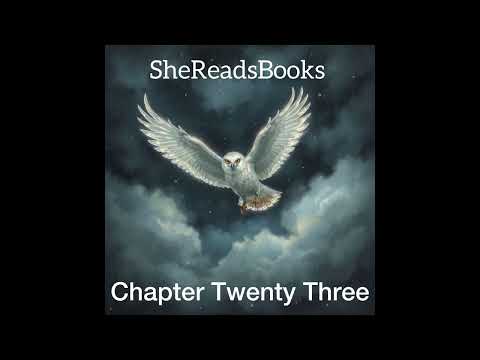 Harry Potter and the Deathly Hallows Chapter Twenty Three | Audiobook