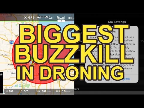 Things to consider before buying a DJI Phantom 4 Pro or Mavic Drone