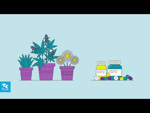 Fünf Mythen zu Cannabis als Arzneimittel | TK-Cannabis-Report 2018