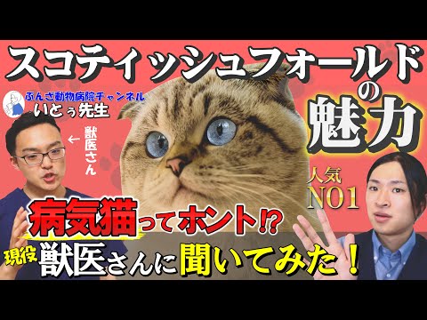情報アイコン.svg