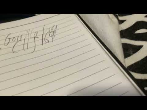 Playing gorrila tag but can’t live yet so just doing vid and feel free to join.