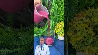 💥😱 ESSE ALIMENTO NATURAL ESTÁ SENDO MUITO FALADO! #shorts