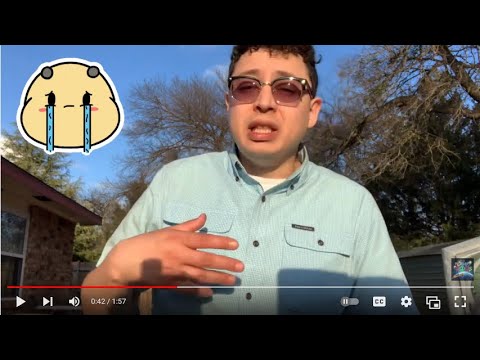 See a Dead Bee? Possible Spiritual Meanings | A Friday Podcast Clip