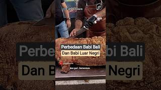 Download lagu Differences between Balinese and foreign roast pigs❗#rarelybathing #culinary #pork #food #foodsho... mp3