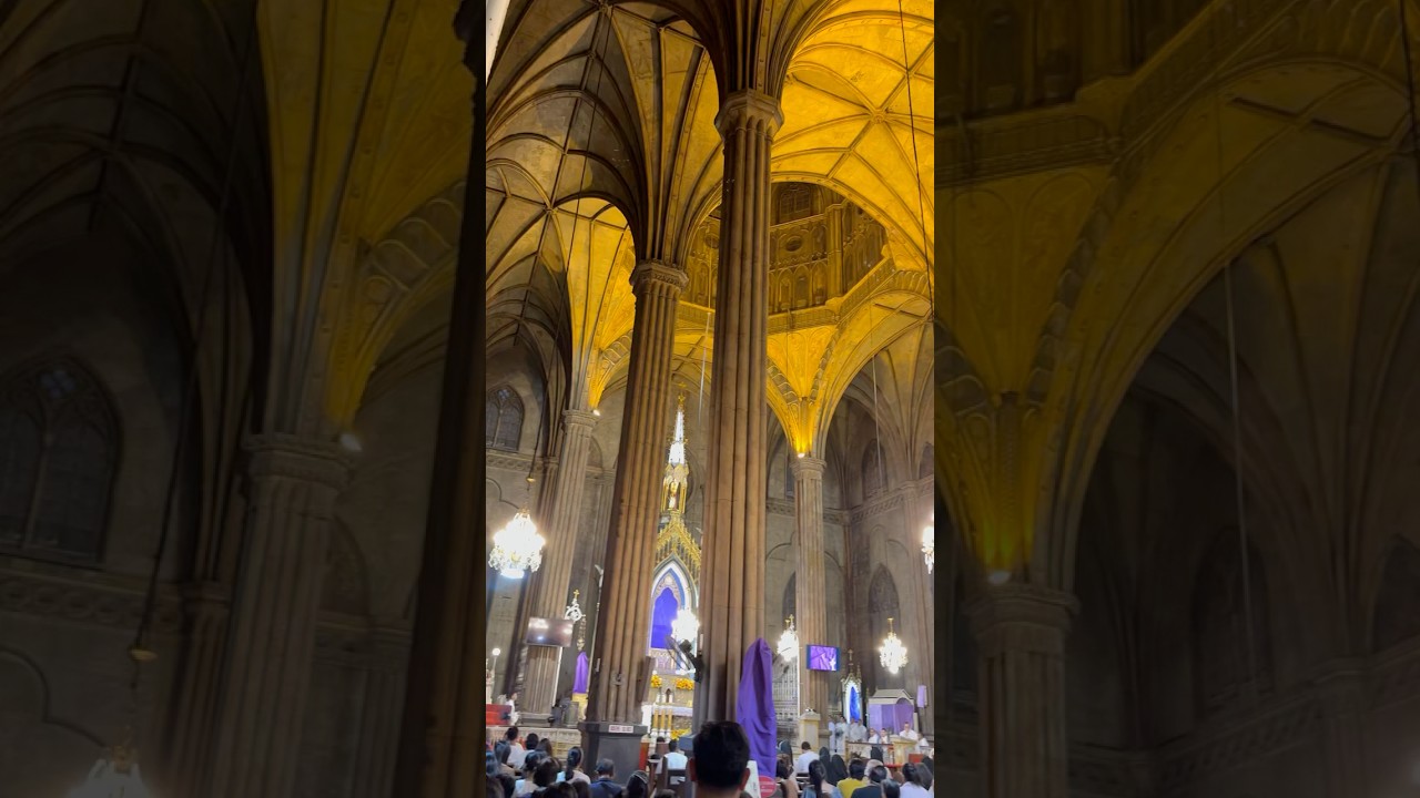 YouTube Short thumbnail