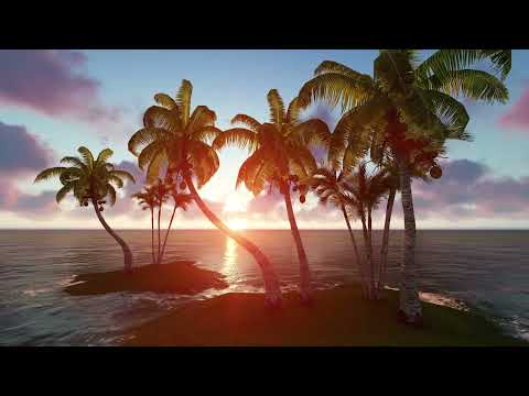 Palm Tree On Beach Sunset 4k video|  No copyright Nature video