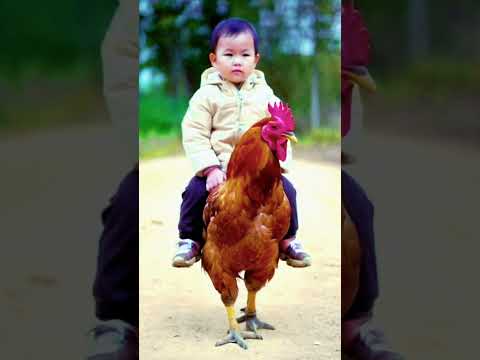 Bro's new ride | Murga Dance | Maza Aagaya #dance #murgadance