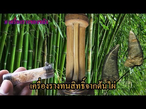 แพทย์เพื่อความแข็งแรงชาย ยาเสพติดเพื่อเพิ่มความแข็งแรงในความคิดเห็นของผู้ชายราคา