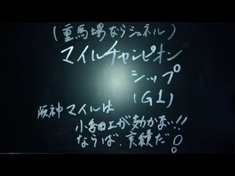 2022.11.20 マイルチャンピオンシップ(G1)　阪神競馬場　予想動画