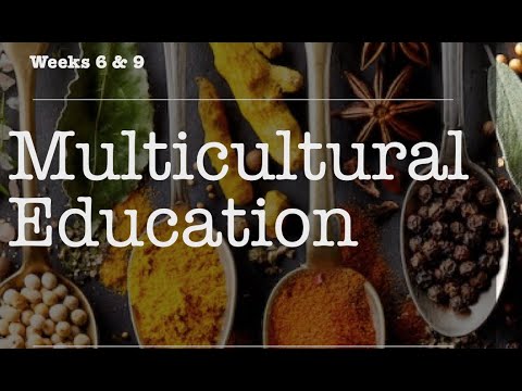Weeks 6&9: Multicultural Education  (202360) by Dr Ryan Al-Natour