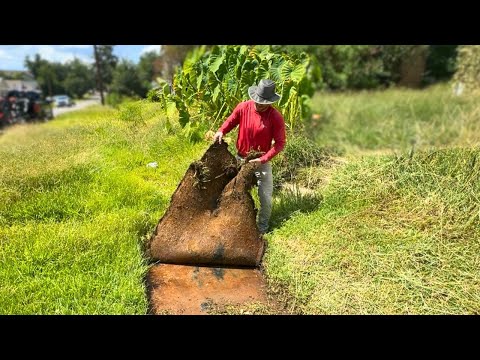 They haven't SEEN this SIDEWALK in YEARS