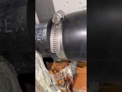 Video Thumbnail Video Thumbnail