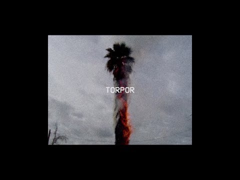 palence - torpor [LP]