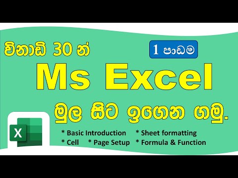 Ms Excel මුල සිට ඉගෙන ගමු - 1 පාඩම