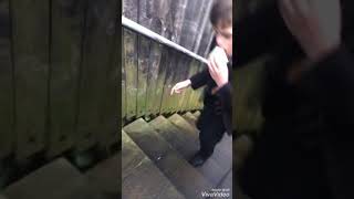 Juice carton explodes