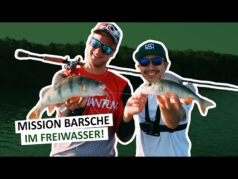 Fisch auf Fisch beim Freiwasserangeln! - Angeln mit einem Quantum Teamangler 🎣