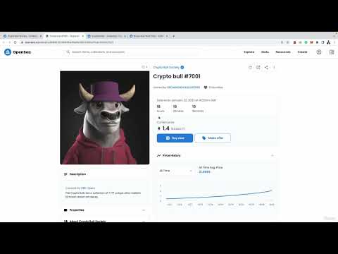 1 What To Expect From This Course COMPLETE GUIDE TO NON FUNGIBLE TOKEN EARN MONEY FROM HOME