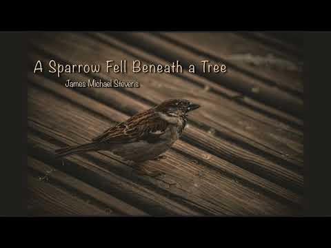 A Sparrow Fell Beneath a Tree -  Organ Solo