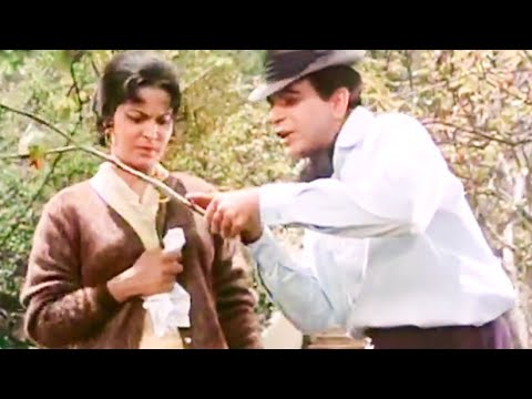 Waheeda Rehman - Best Movie Scenes | Waheeda Rehman and Dilip Kumar Movie Scenes | Ram Aur Shyam
