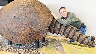 7 Discoveries of PREHISTORIC Fossils That Will Surprise You!