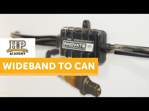 Modern CAN-bus Wideband Solution | Innovate LC-3 [TECH NUGGET]
