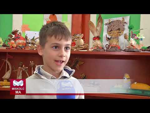 Videó előnézet