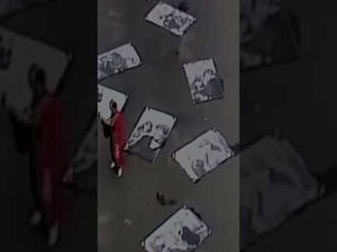 Olympic - Okno mé lásky