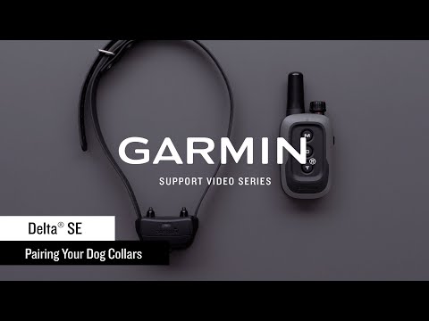 Support: Delta® SE Dog Collar/Transmitter Pairing