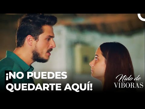 Ejder Ahora Está Celoso De Elvan - Nido De Víboras Capitulo 21 (Dobladas en Español)