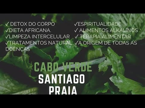 DIMX B2R - sobreviventes (Netvideo)