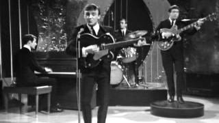 Gerry And The Pacemakers - You&#39;ve Got What I Like