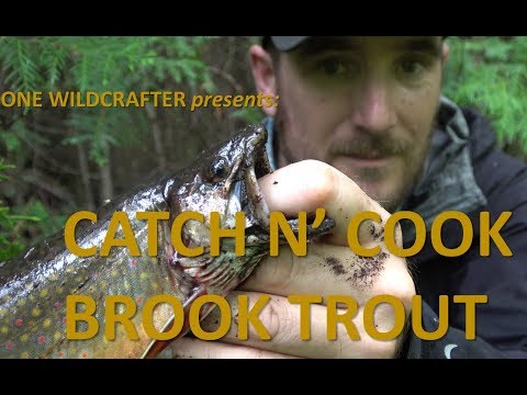 Catch and Cook Brook Trout - just a hook and worm Video
