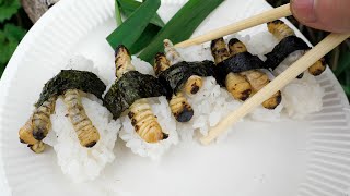 中トロの味がする虫で寿司作ってみた