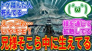 【エルデンリングDLC】ゴッドウィンの人面瘡とかいう初見で滅茶苦茶ビビったやつ【ELDEN RING Tarnished Edition】